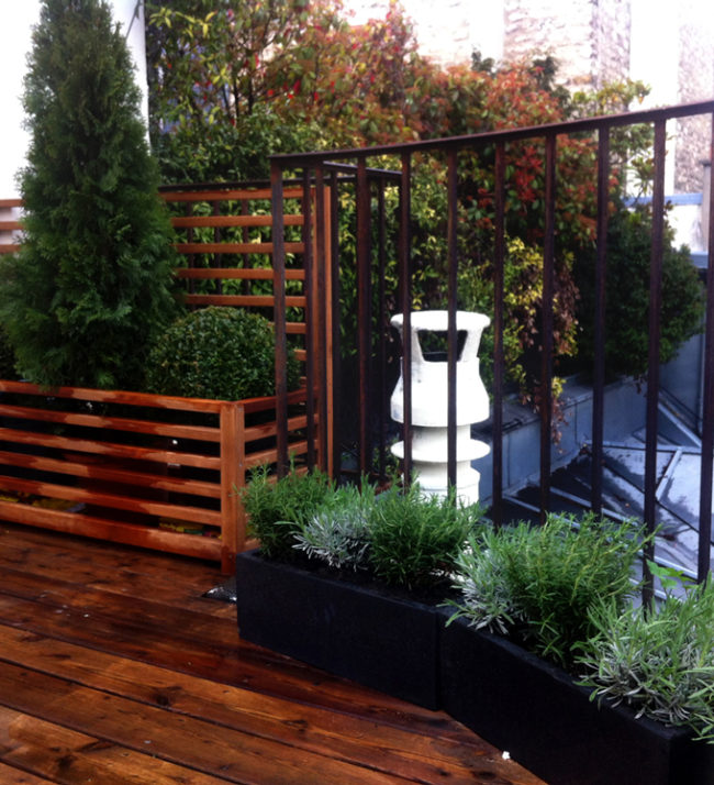 decoration-vegetale-terrasse-appartement-studio-paris